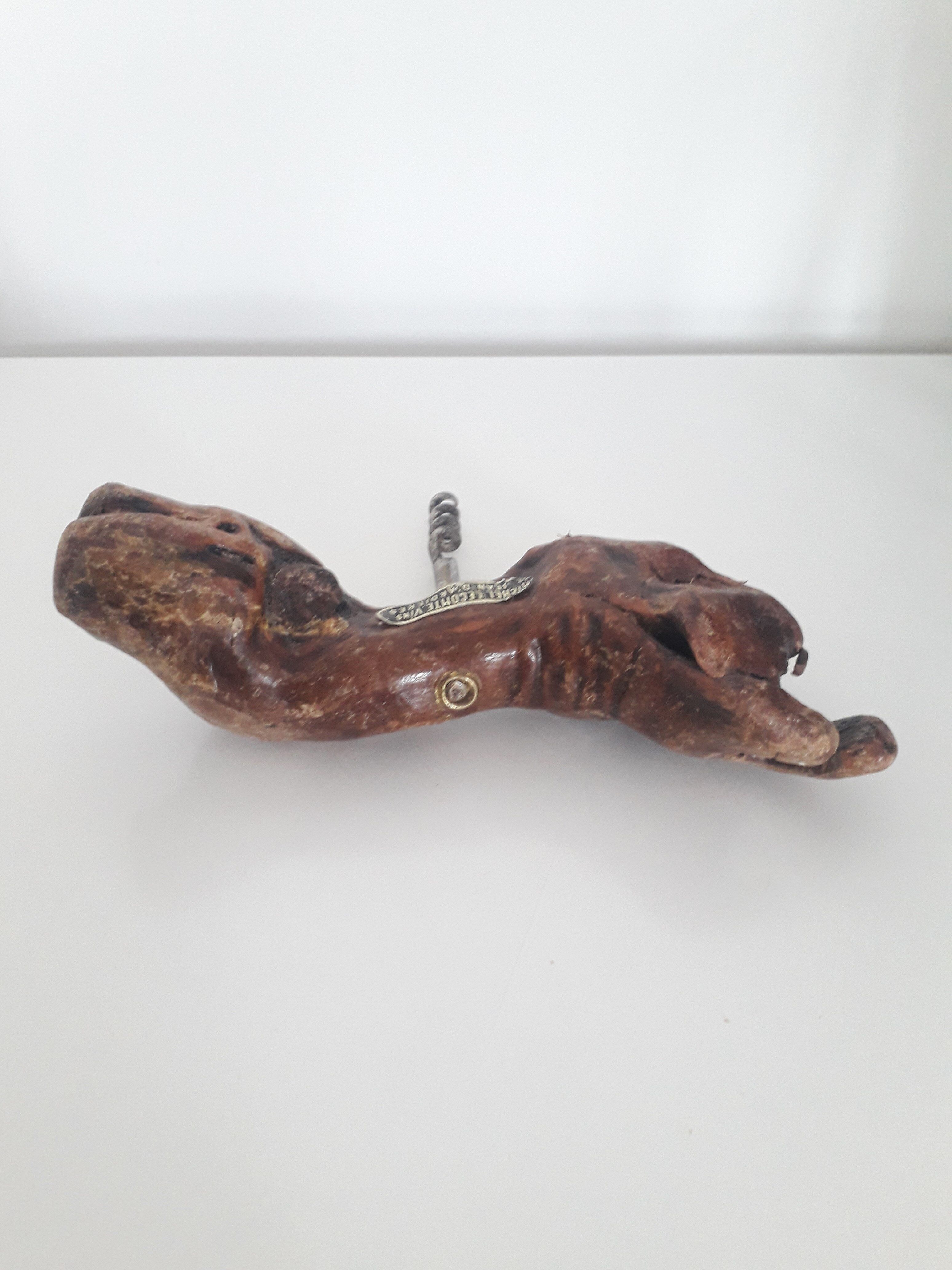 Former advertising corkscrew - vine stock - 1970