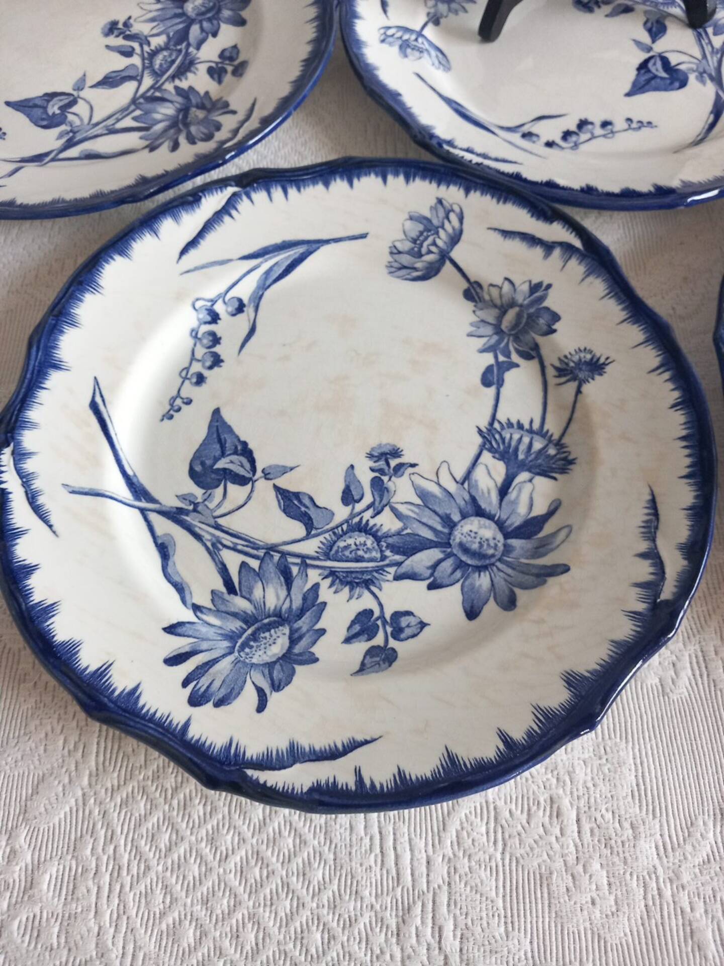 6 antique plates Creil & Montereau Sunflower model – 19th century