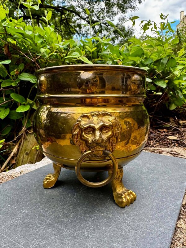 Jardinière en laiton massif lion baroque