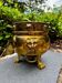 Brass lion baroque jardinière