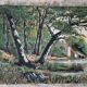 Tableau - Oil on canvas Verdant landscape river Signed M De Livenaye 197