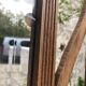 Old wooden entrance coat rack