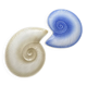 shell plates