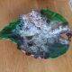 Vide-poche feuille Vallauris