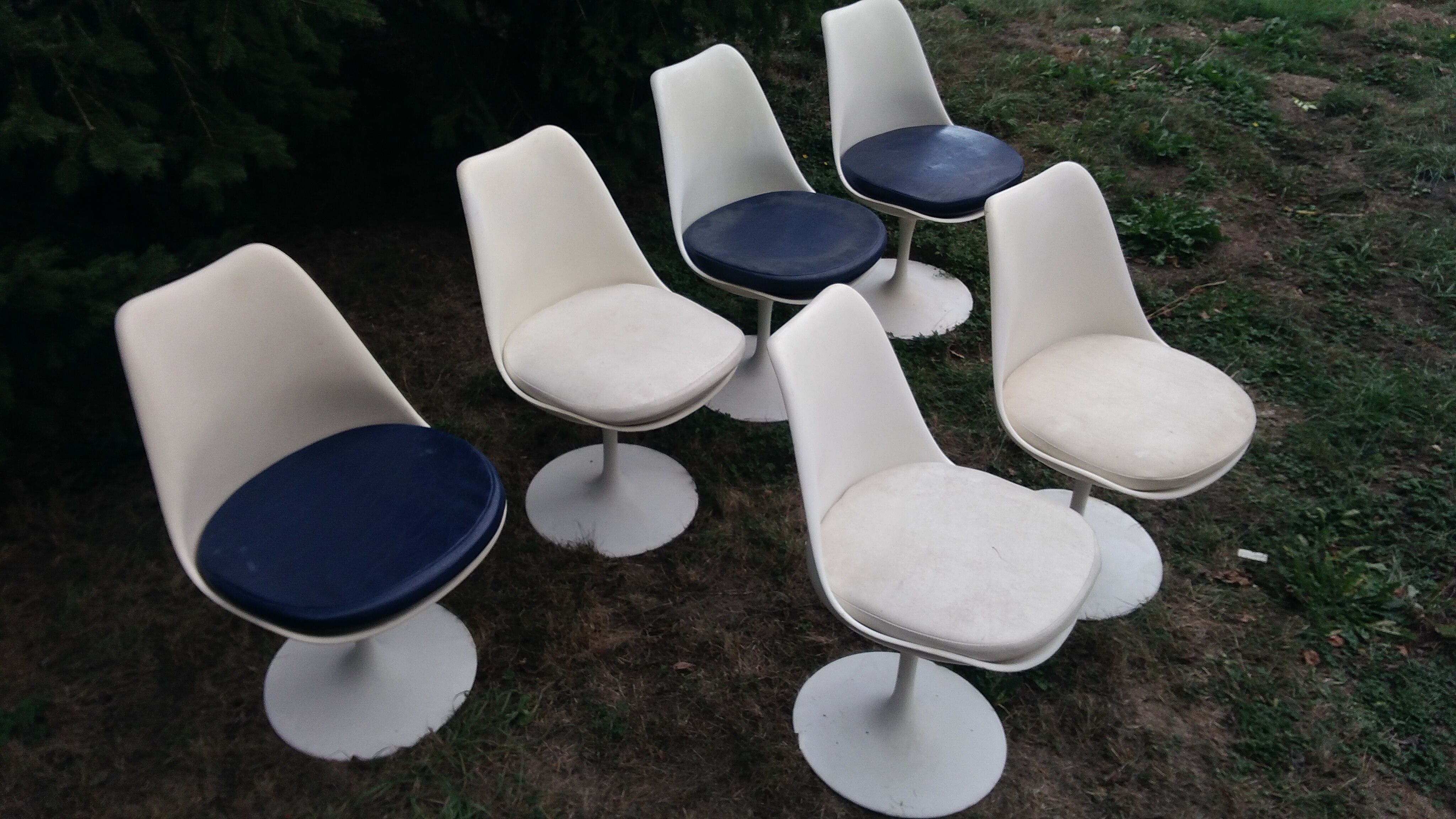 Set of six chairs by Eero Saarinen for Knoll