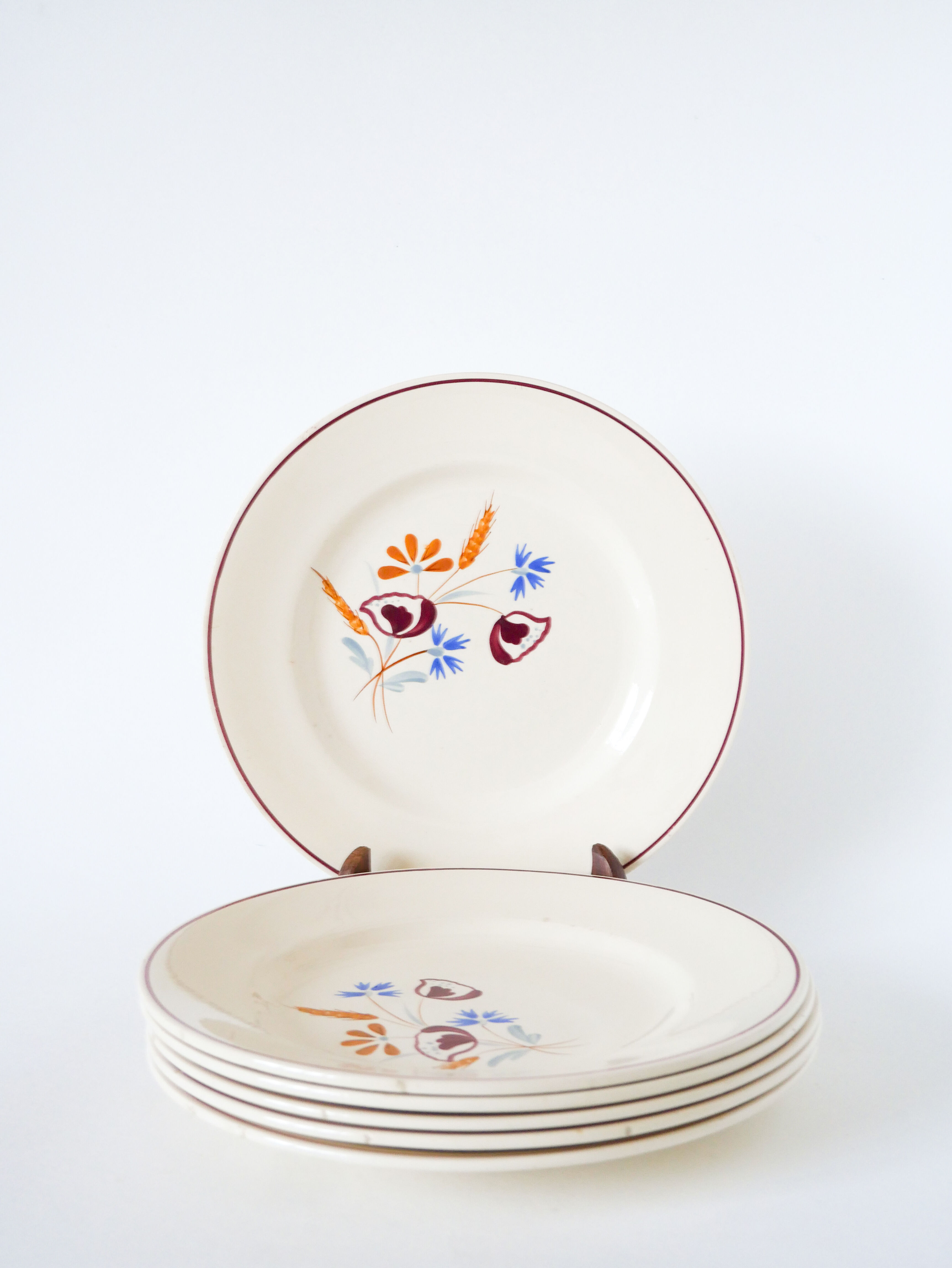 Set of 6 flat plates Salins, hand-painted flower patterns, 1950.