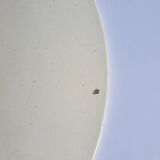Old Longchamp pink iron earth dish