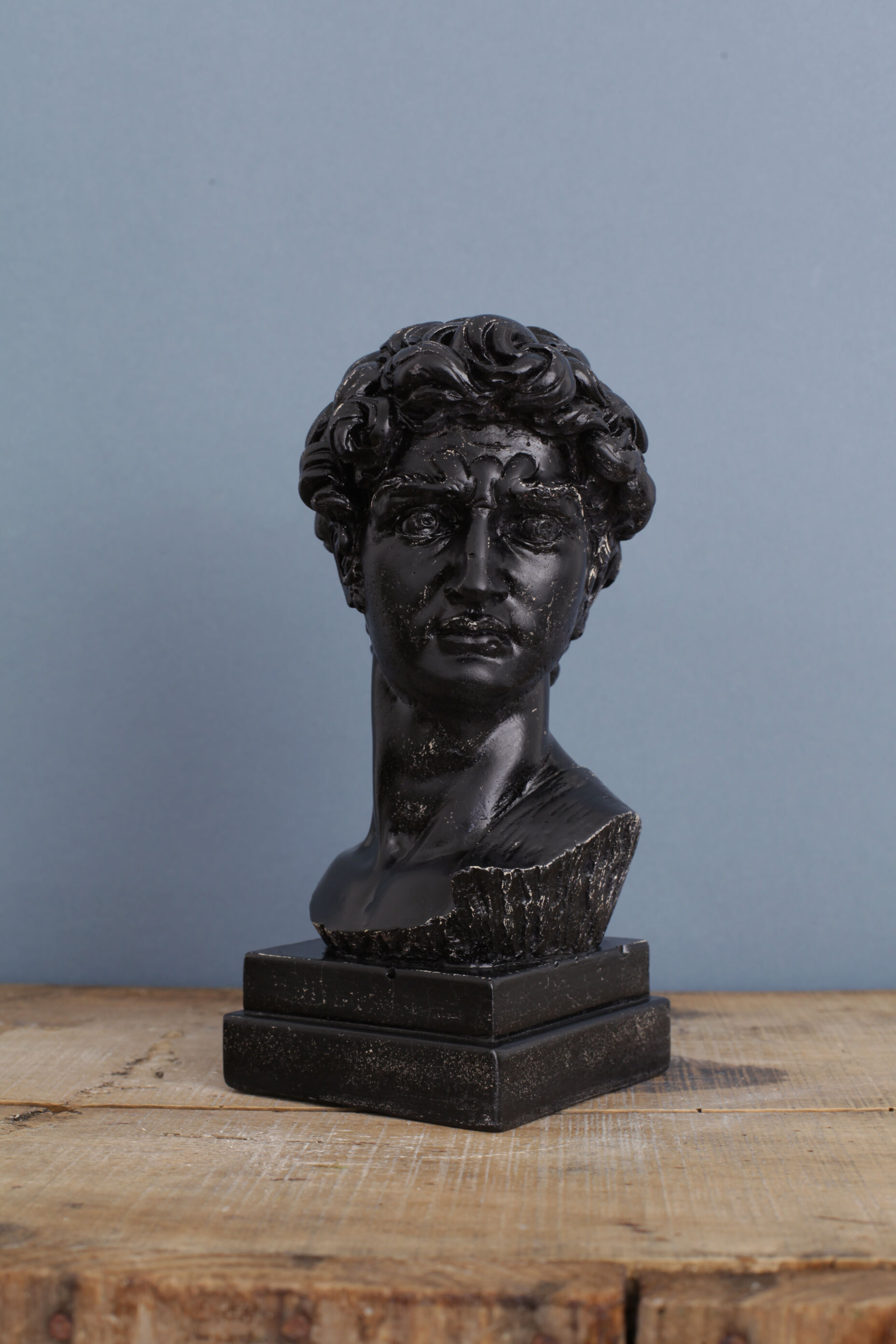 David head in black waxed bean