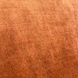 Coral velvet cushion 35x50 cm