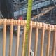 2 rattan armchairs