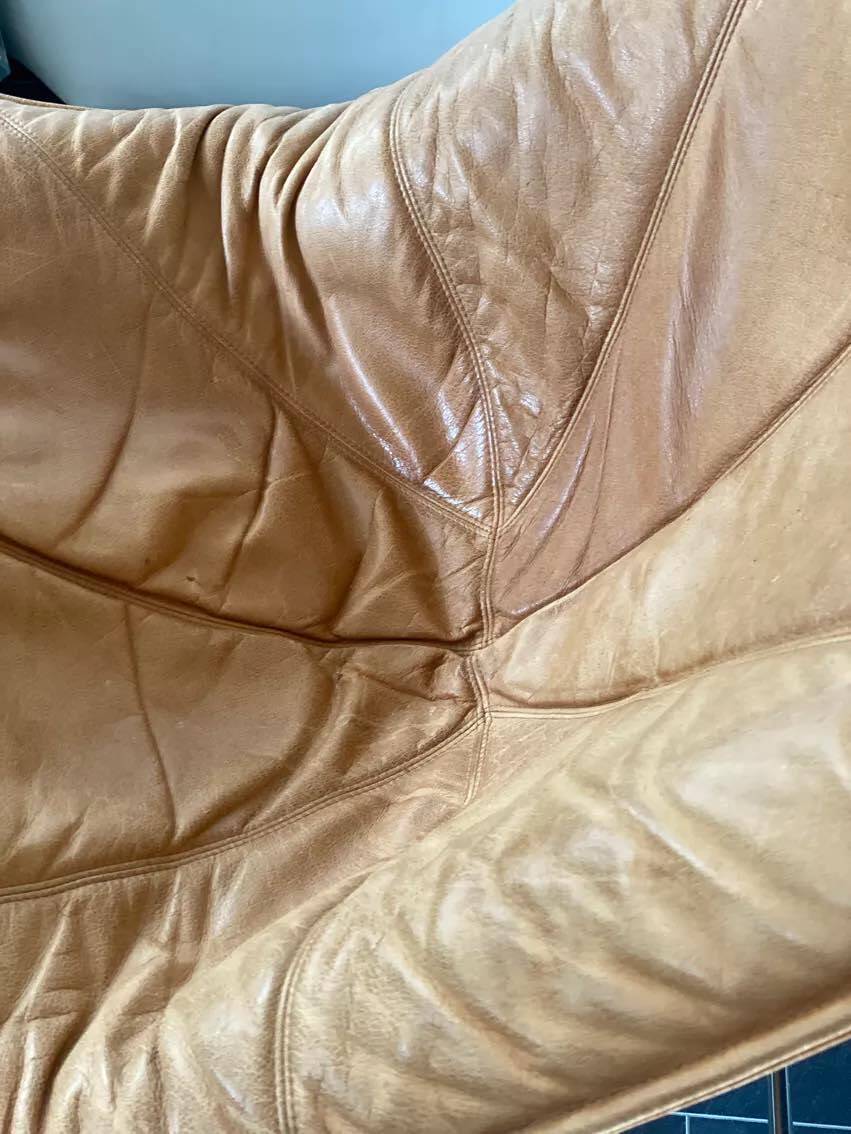 Pair of Molinari Easy Chairs by Teun van Zanten