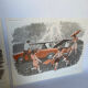 Lot d'affiches 'Pèche-Pique nique'