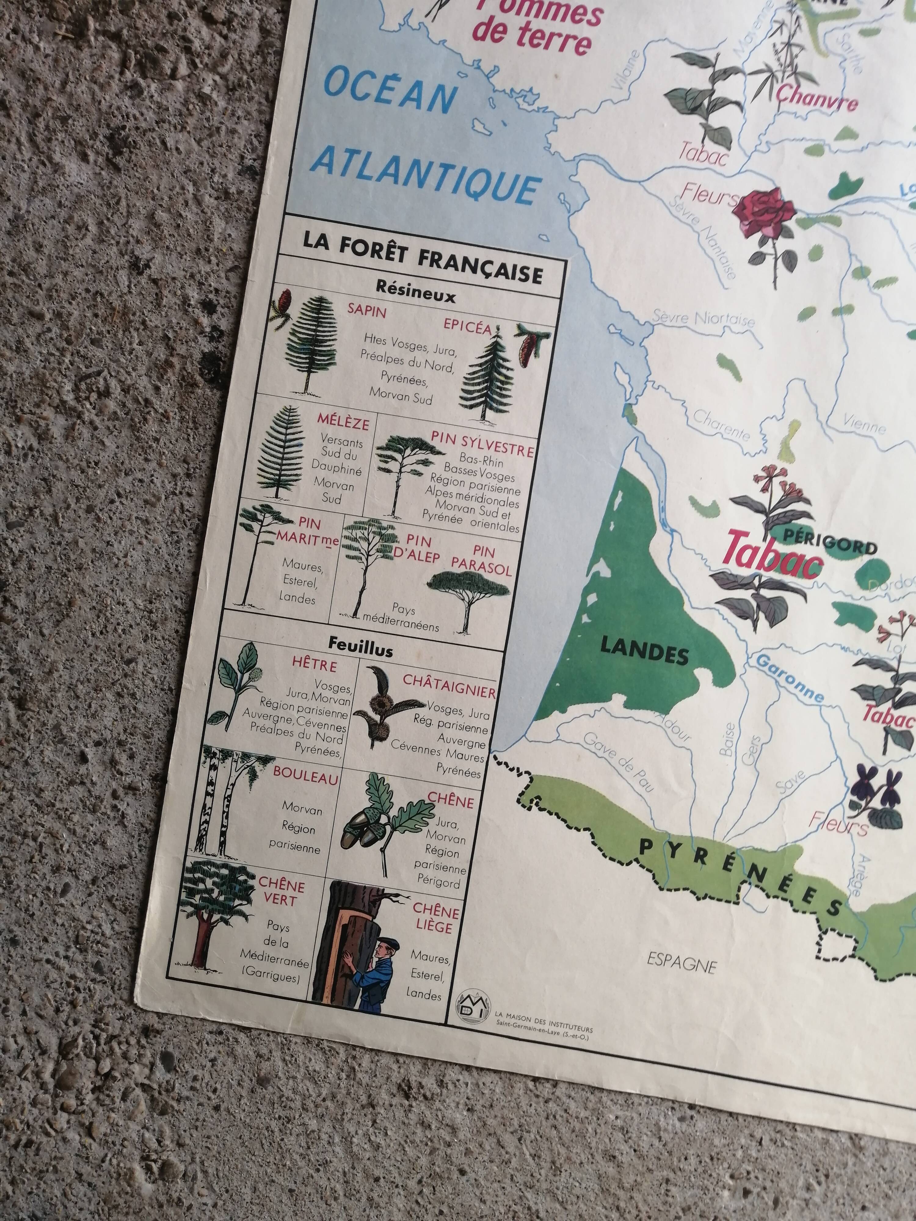Old MDI school map: France “Industrial crops and forests”