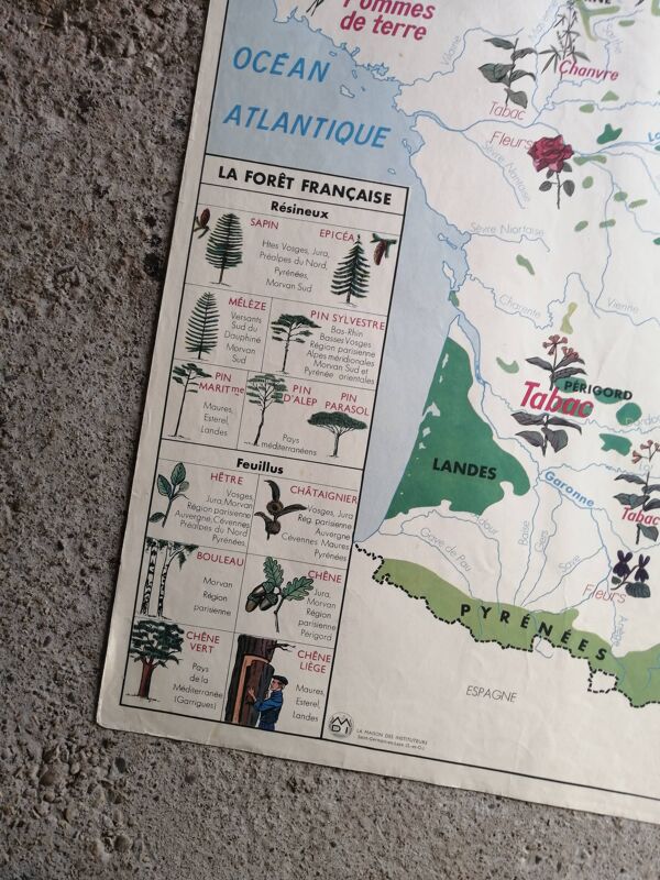 Ancienne carte scolaire MDI : France « Cultures industrielles et forêts »