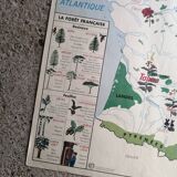 Ancienne carte scolaire MDI : France « Cultures industrielles et forêts »