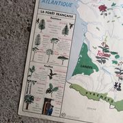 Old MDI school map: France “Industrial crops and forests”