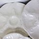 6 vintage oyster plates from the Gien factory