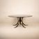 T69 XL Dining Table by Osvaldo Borsani and Eugenio Gerli for Tecno 1950