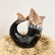 Fish pitcher