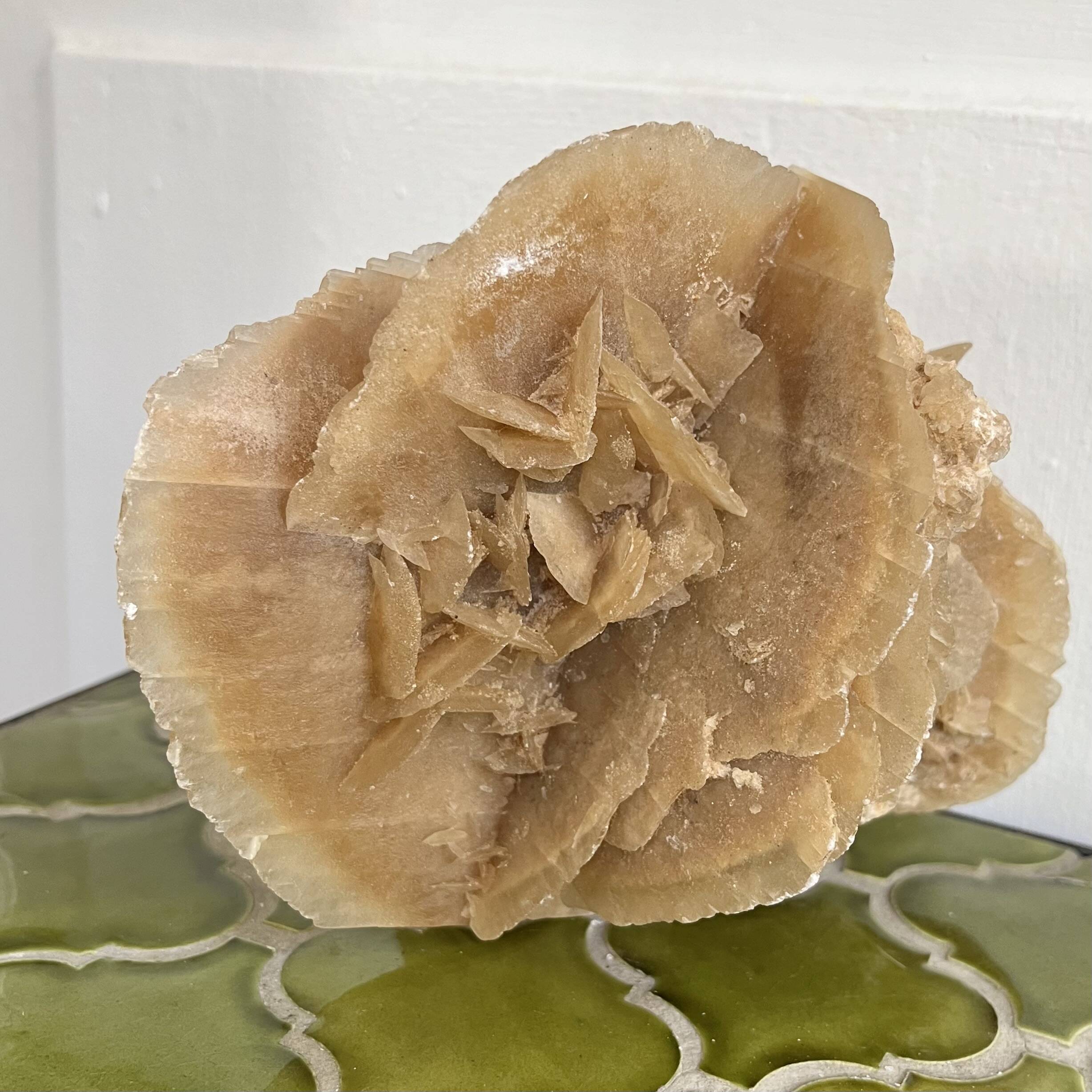 Large size sand rose