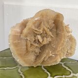 Large size sand rose