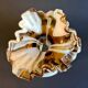Vintage Two-Tone Murano Vase