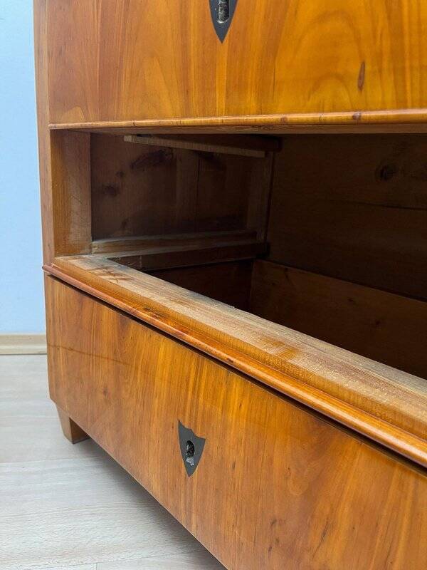 Biedermeier Ebonized Chest of Drawers in Cherry Veneer, South Germany, 1830