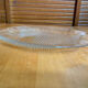 Plate + 5 ARCOROC Fish Shape Glass Mould Plates + Vintage Box #