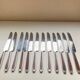 Old box 12 knives Art Deco Bakelite and chromed metal Apollonox