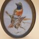 3 tableaux aquarelle peinture oiseaux signé Wolf