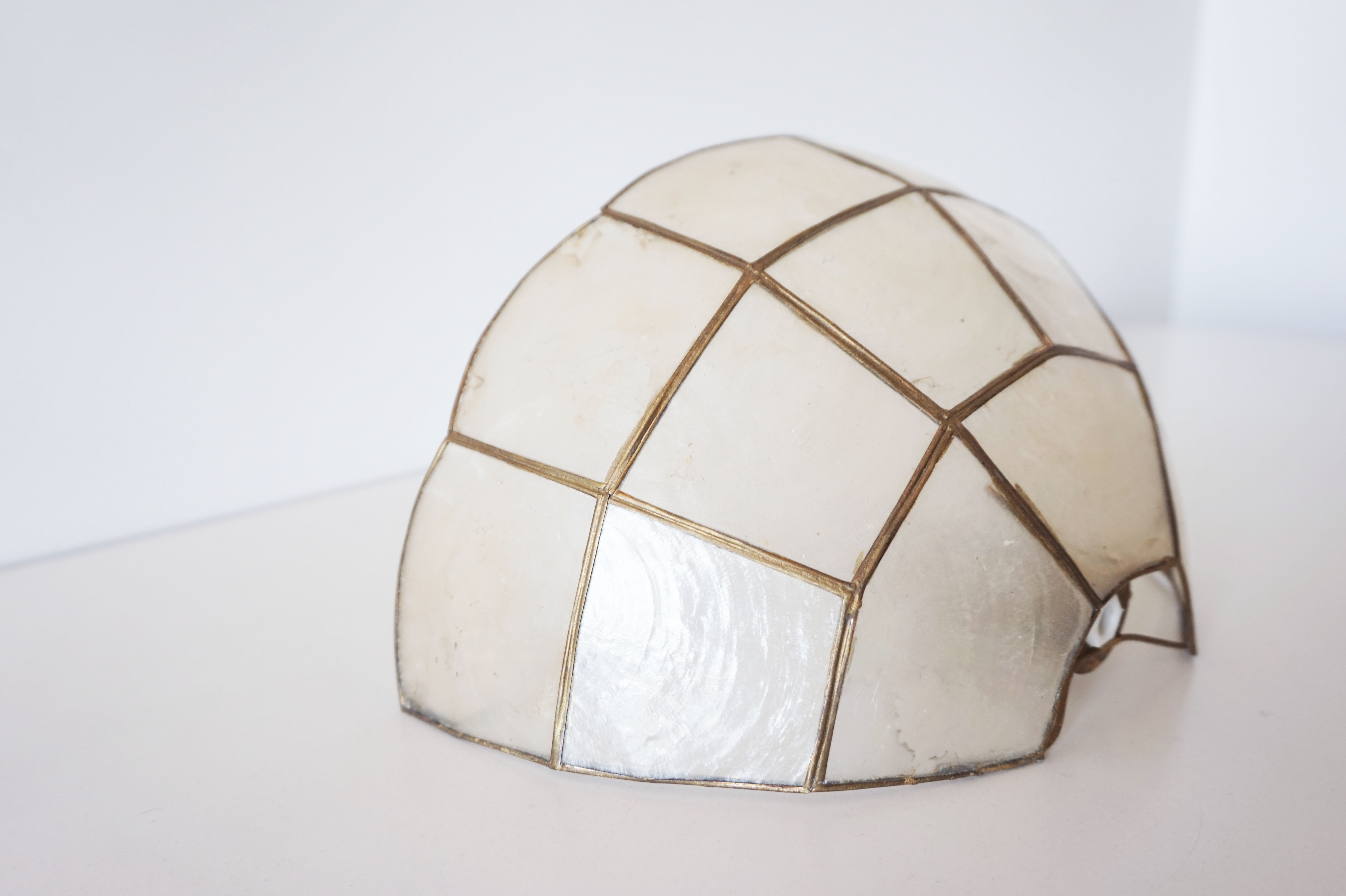 Mother-of-pearl shell shape wall lamp