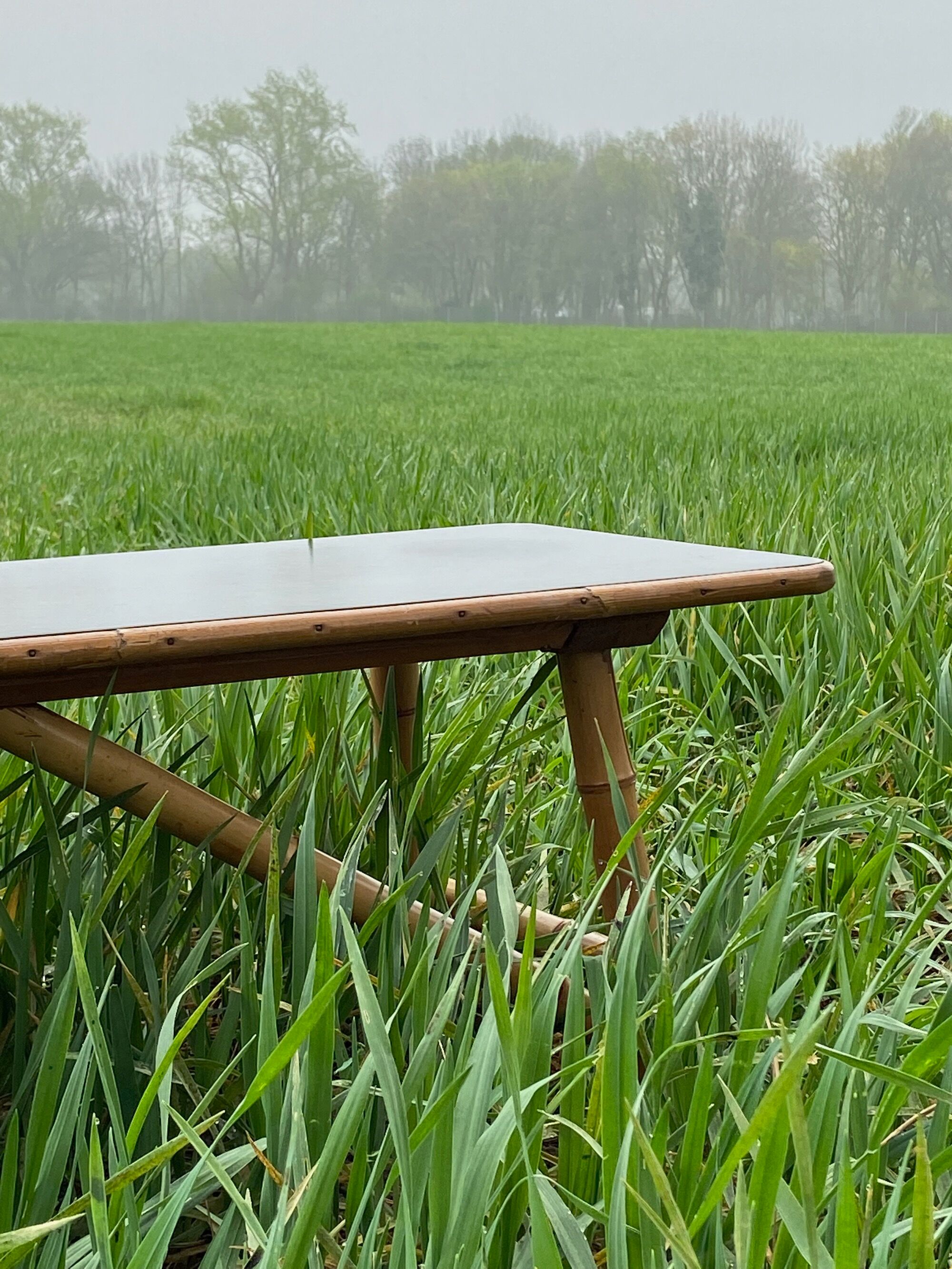 1950's bamboo flower bench