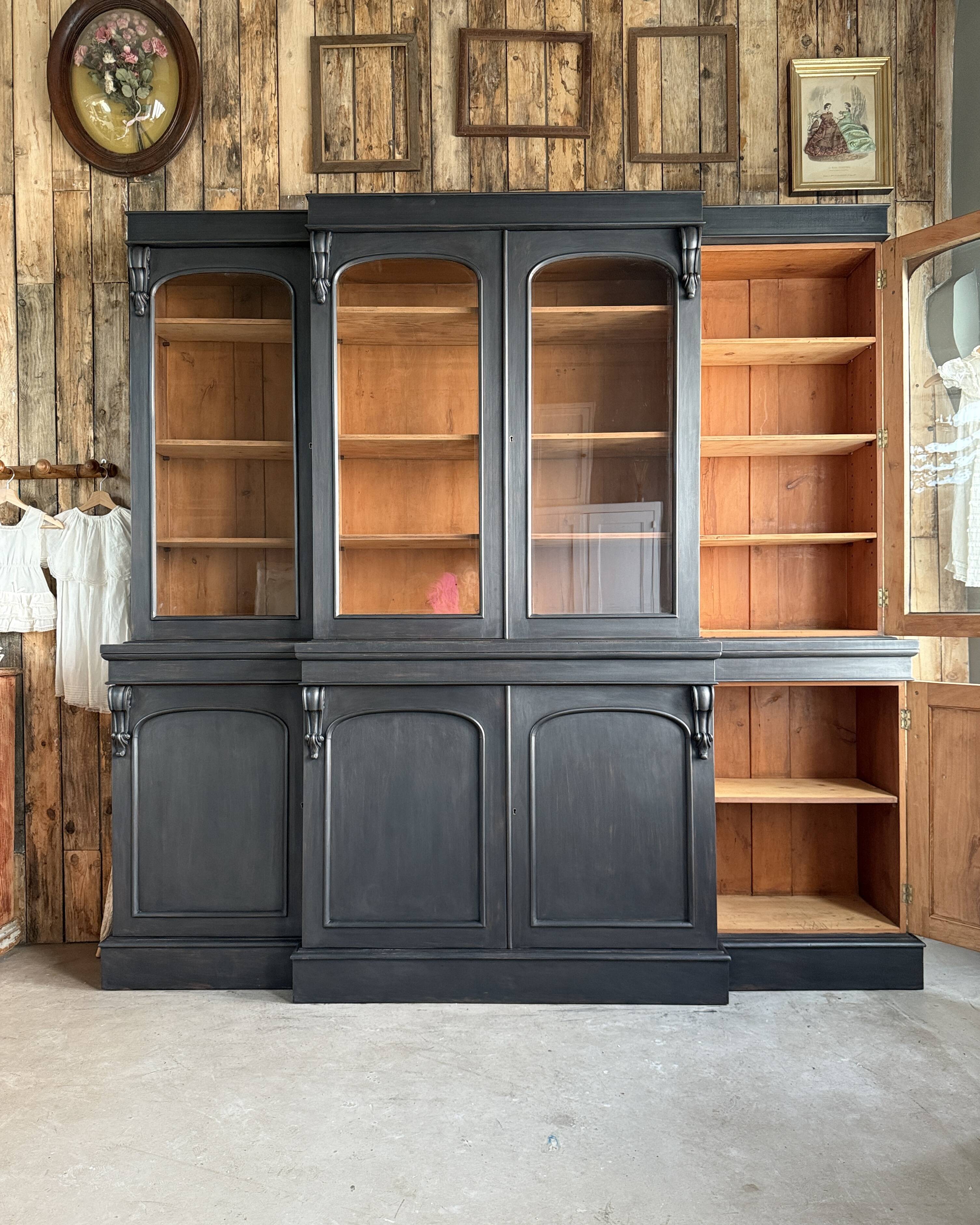 Large black patinated glass bookcase (renovated)