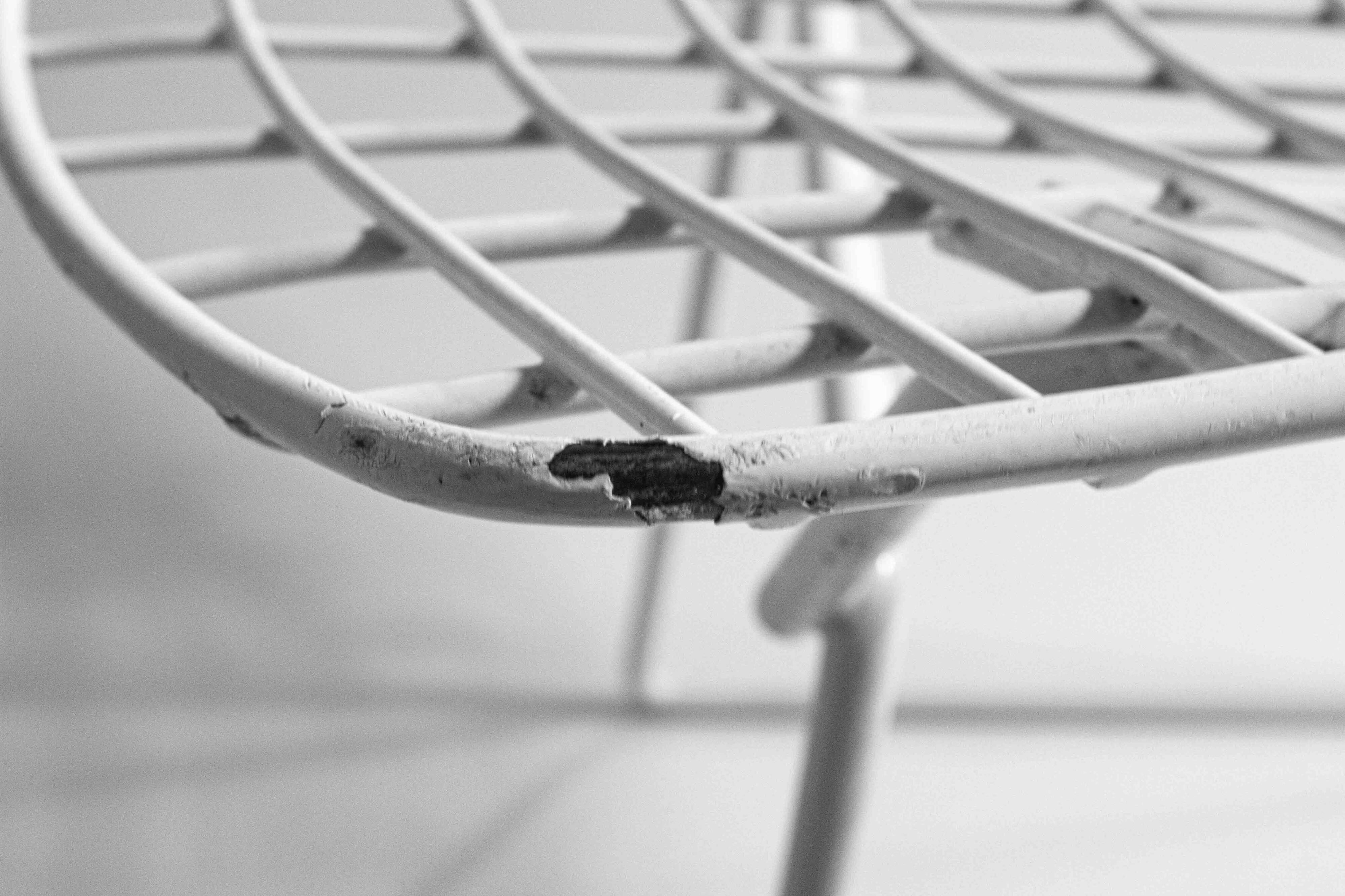 Set of 7 white coated wire chairs by Harry Bertoia for Knoll, 1970s