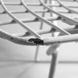 Set of 7 white coated wire chairs by Harry Bertoia for Knoll, 1970s