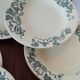 Seven hollow plates Terre de fer de Salins