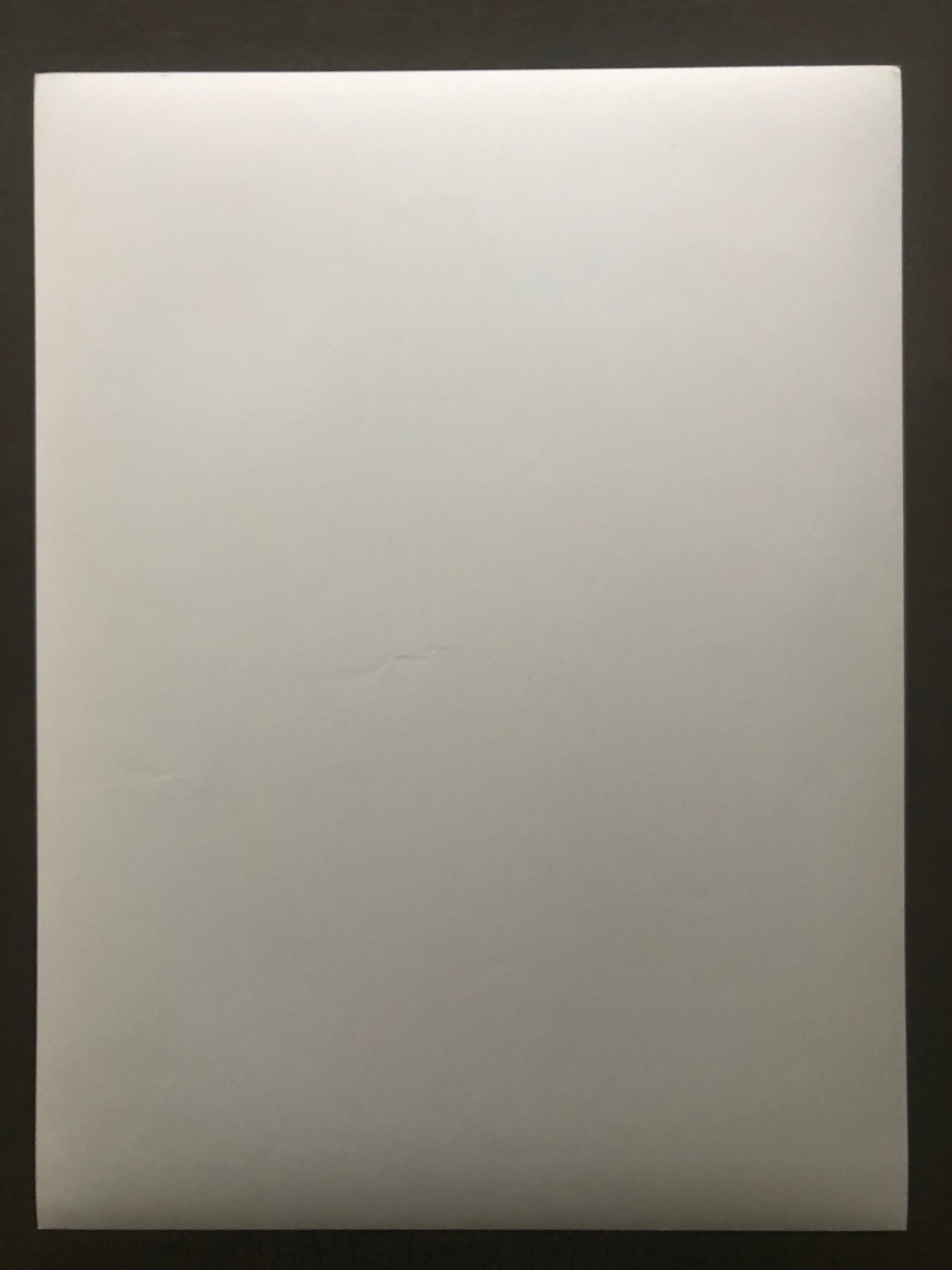 Vintage black and white print photograph