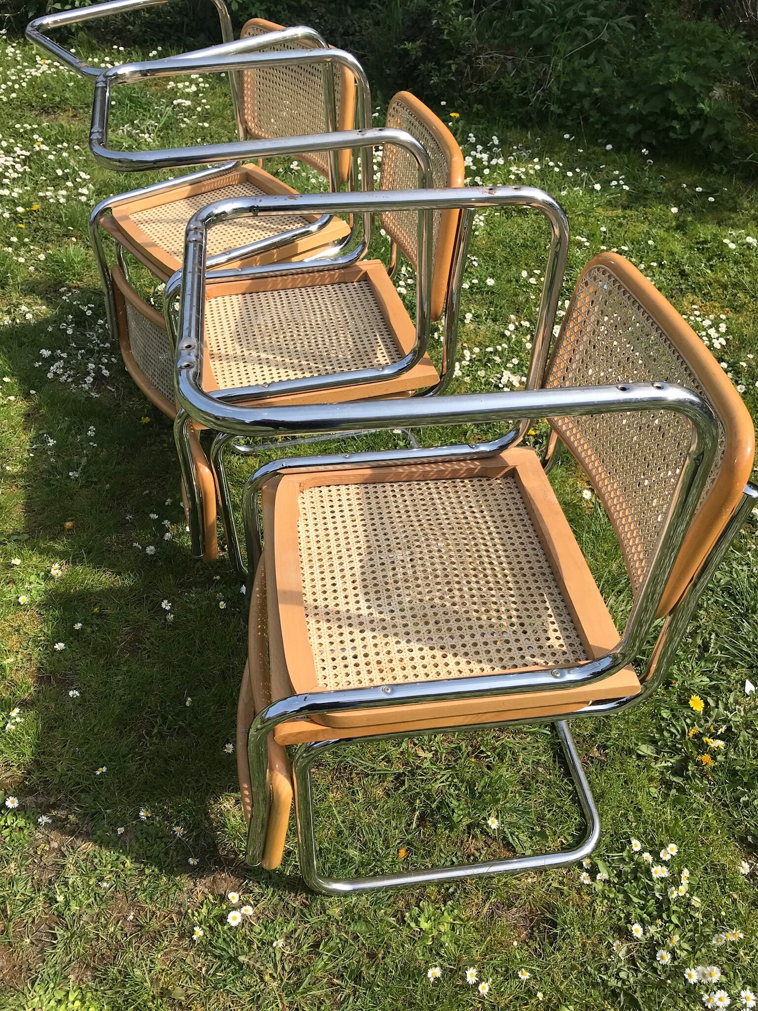 Set of 6 chairs cesca b32 design Marcel Breuer italy