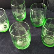 5 glass water tumblers with engraved floral design