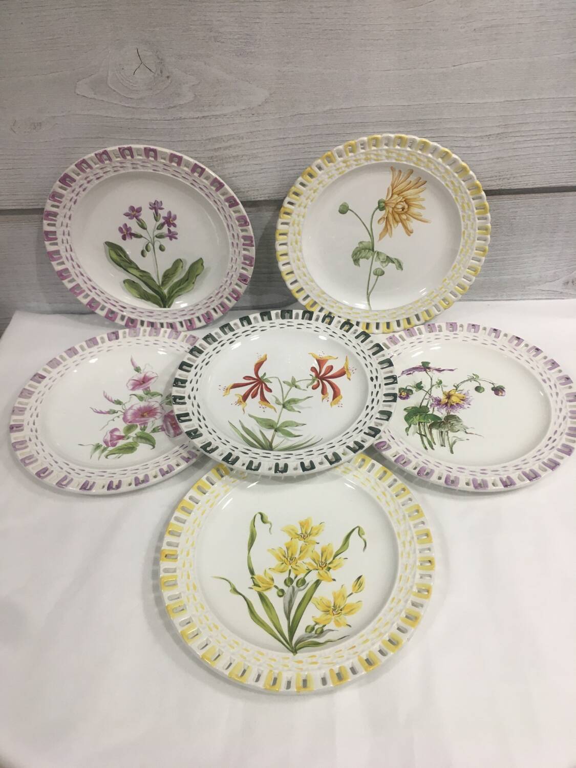 Rovina Epinal plates