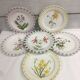 Rovina Epinal plates