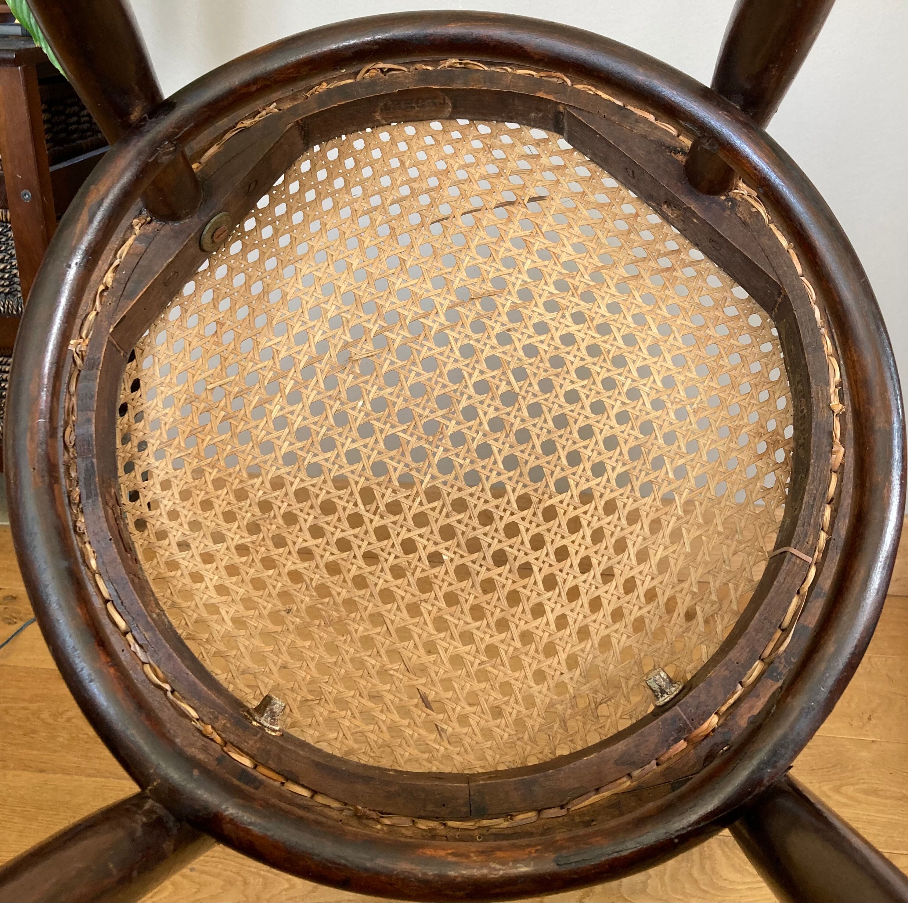 Real Tuna Chair in curved wood, label + hot iron stamp