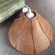 Rattan suspension