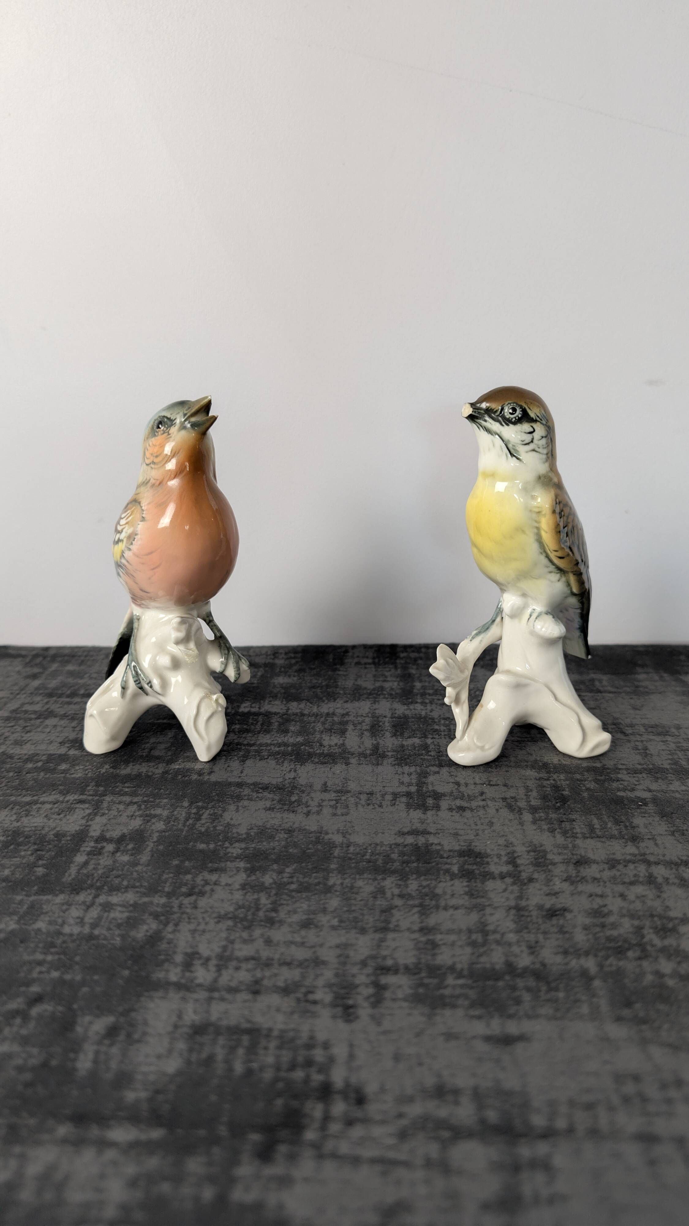 Pair of Karl Ens polychrome porcelain birds from Saxony