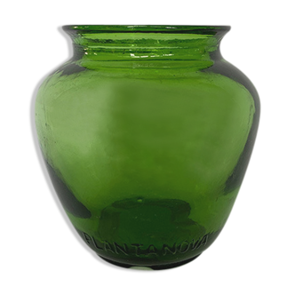 Vase vert