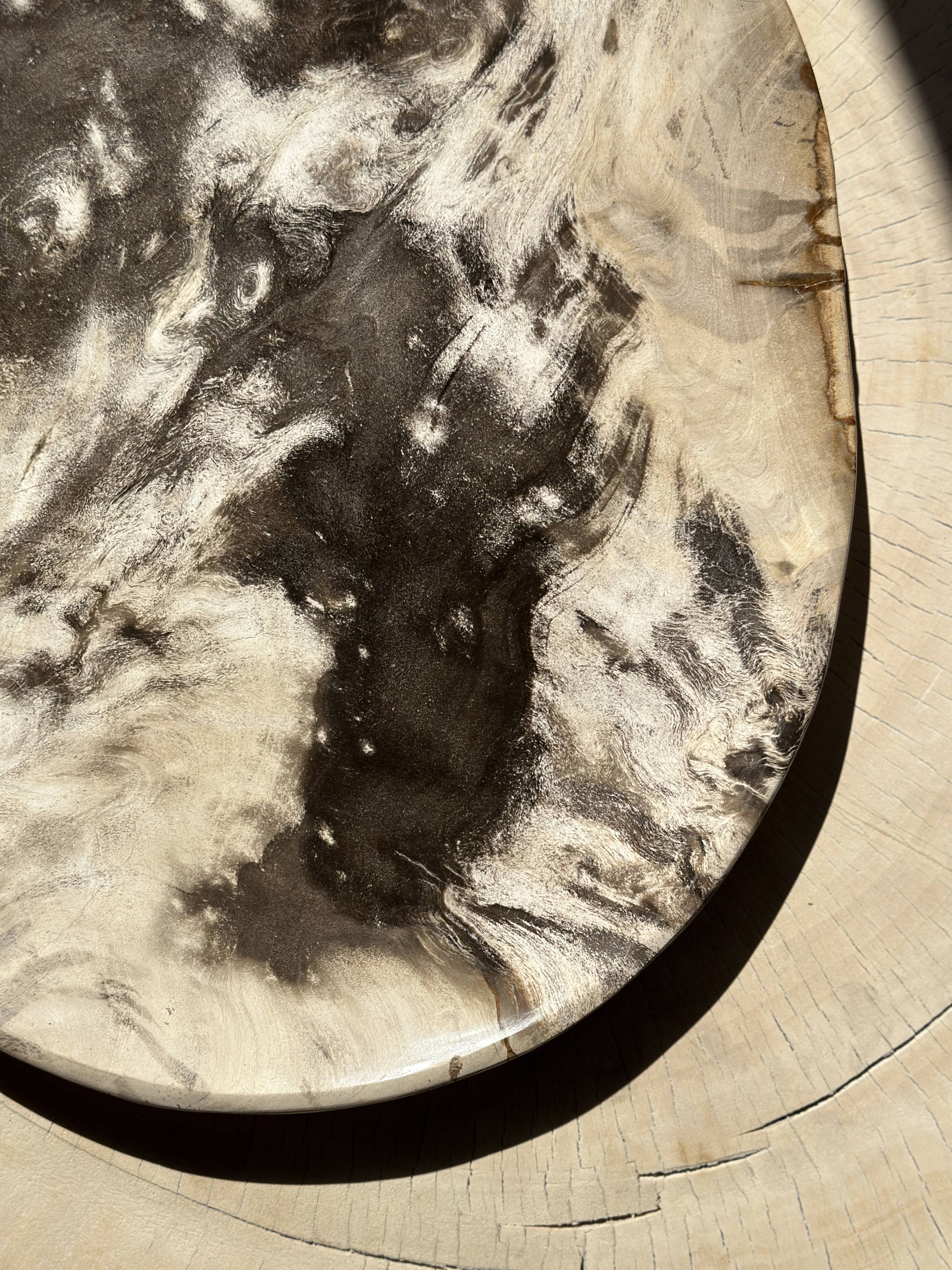 Very large empty pocket or petrified wooden flat