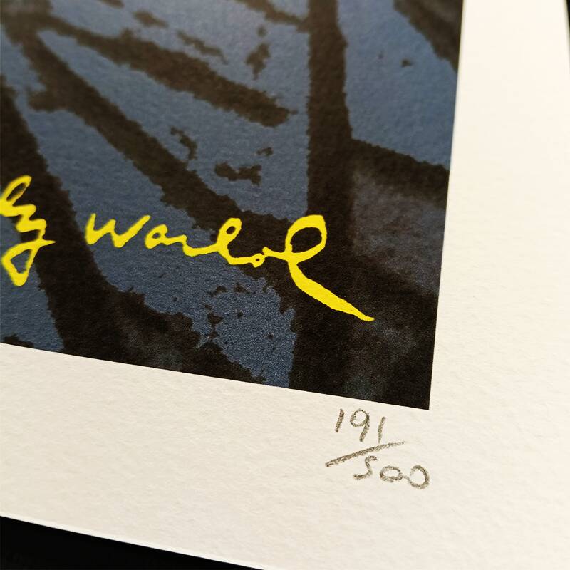 1980s Andy Warhol Limited Edition Lithograph by CMOA.