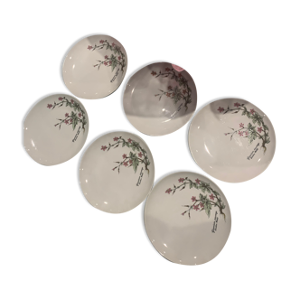 6 plates for dessert winterling bavaria collection mobil