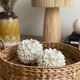 Plateau rond en rotin tressé vintage 33 cm