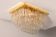 Novaresi Gold Plated Ceiling Lamp CH Serie 1970 Italy